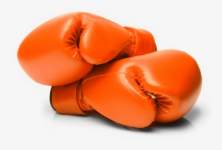 Boxing Gloves Landing - Ozark National Life Insurance