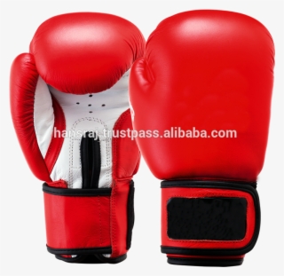 Sting Aiba Boxing Gloves