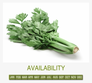Request Information - Parsley