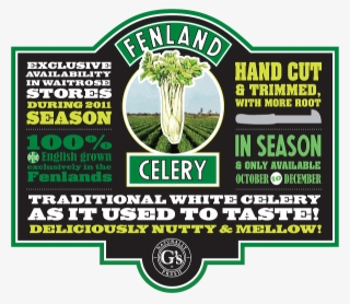 November 9 - Fenland Celery