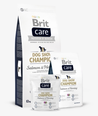 Brit Care Dog Show Champion