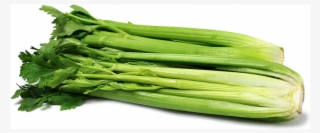 Celery