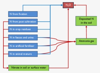 2 Schematic Overview Of Direct And Indirect (red Arrows) - Diagram
