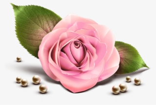 Free Png Download Pink Rose Decor Transparent Clipart - Transparent Rose Pink Png