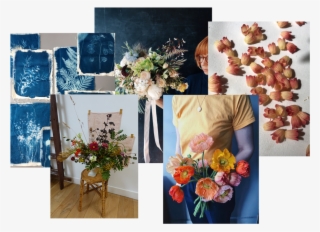Newsletter Trans Full - Bouquet