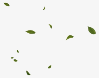 Leafs Sticker - Floating Green Leaves Png