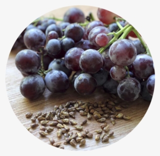 Grape Seed Oil- Organic 150ml - 葡萄 籽 萃取 物