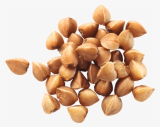 Buckwheat - Buchweizen Inhaltsstoffe