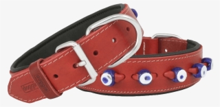 Doggie Comfort Nazar Boncuklu Deri Köpek Boyun Tasması - Buckle