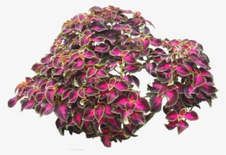 Saturday, September 25, - Dibujos Png Renders Para Photoshop