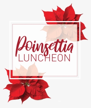Poinsettia Front Page Website - Canadian Thanksgiving