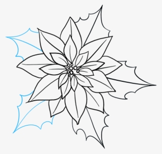 How To Draw Poinsettia - Poinsettia Drawing