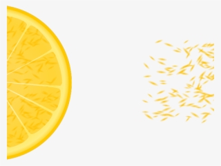 Citrus Clipart Orange Slice - Circle