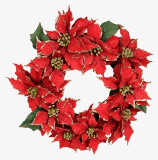 Poinsettia