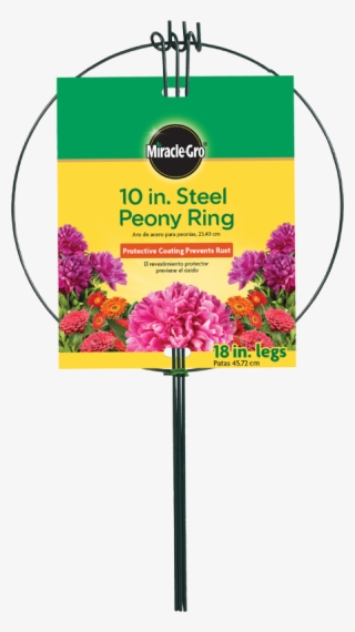 Red Clover