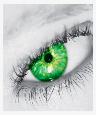 Overview - Wrapping Paper