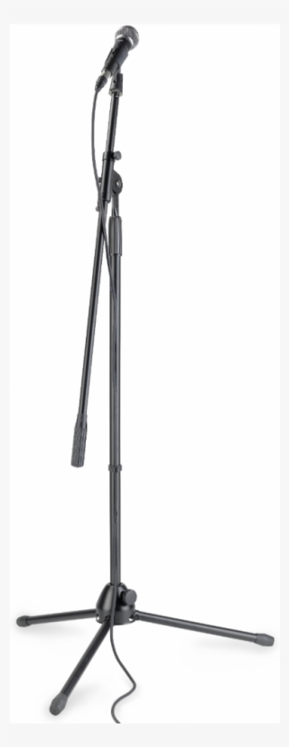 Loading Images - Tripod