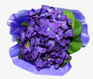Flower Petals Png Image - Artificial Flower