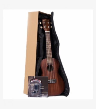 Ukulele Package