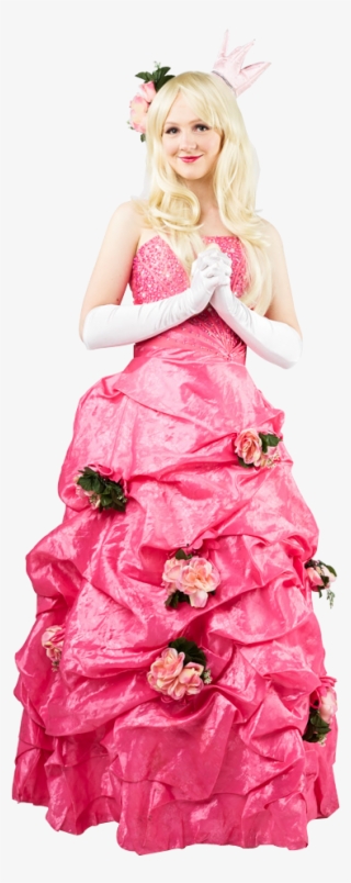 Sleeping Beauty Party Sydney - Gown