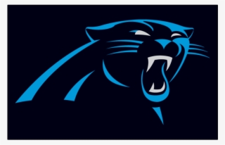 Carolina Panthers Iron On Stickers And Peel-off Decals - Carolina Panthers 2018 2019