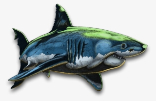 Shark One Colouring - Drawing
