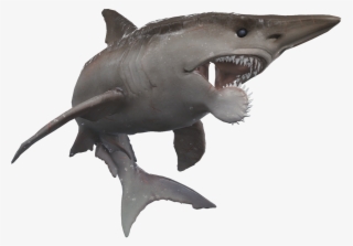 Depth Team On Twitter - Helicoprion Depth
