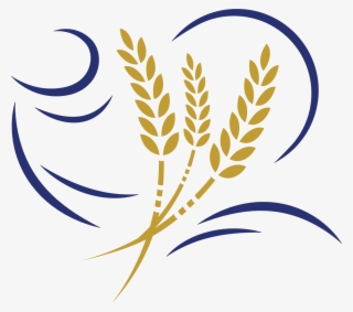 The Curved Lines To The Left Of The Wheat Represent