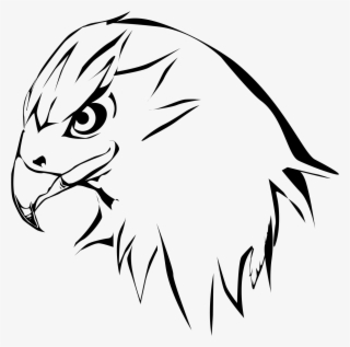 Eagle Silhouette On White - Hawk Drawing