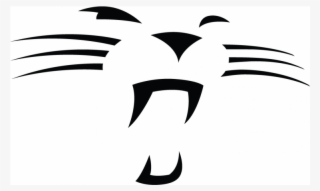 Carolina Panthers Iron On Stickers And Peel-off Decals - Illustration