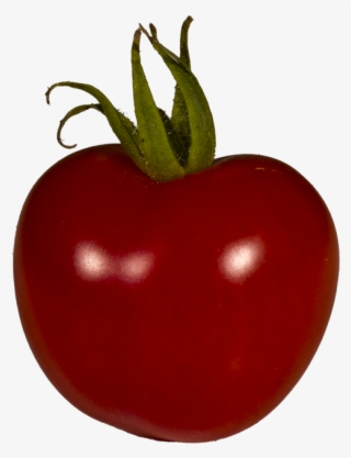 Tomato,grown,solanum - Plum Tomato