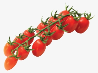 Vittoria Tomatoes Home Eng - Cherry Tomatoes