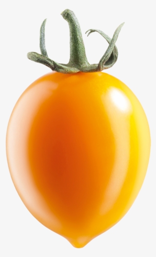 In Juice - Pomodoro Piennolo Giallo