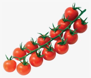 Standard Cherry On The Vine - Plum Tomato