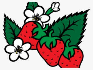 Fruit Clipart Png Black
