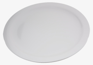 Carlisle Dinner Plate Plastic 10-1/4" Dia - Plate