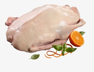 Goose Meat Png