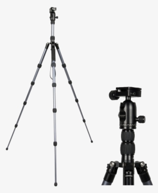 Tripods & Monopods