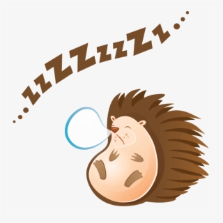 700 X 700 6 - Riccio Che Dorme Disegno