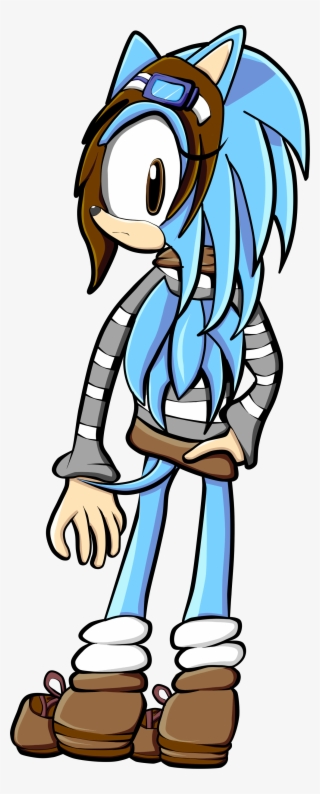Aria The Hedgehog