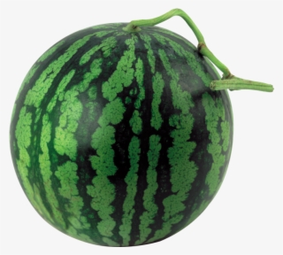 Water Melon - Загадки Про Фрукты И Овощи