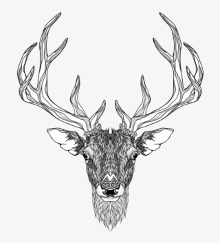 Elk Abziehtattoo Deer Totem Red Free Transparent Image - Deer Head Illustration