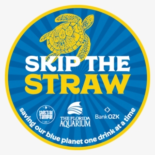 Tampa, Fl - - Sea Turtle