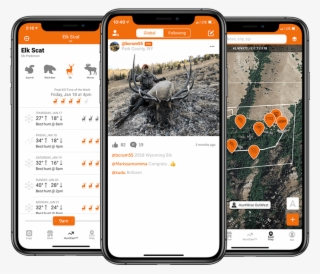 Ui Specieselk - Portable Network Graphics