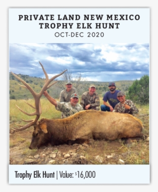Private Land New Mexico Trophy Elk Hunt - Trophy Hunting