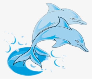 Bottlenose Dolphin Clip Art - Dodson Middle School