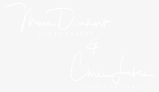 Menu - Accor Hotels White Logo