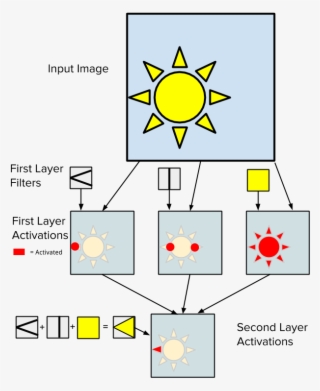 Cnn Position - Diagram