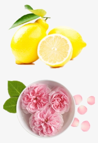 A Rose Is Also An Ancient Symbol Of Love And Beauty - Rose Water And Sandalwood Powder