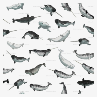 Narwhal And Beluga Whale Pattern Transparent Wallpaper - Stock Dove